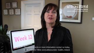 12 Weeks Pregnant  Your 12th Week Of Pregnancy