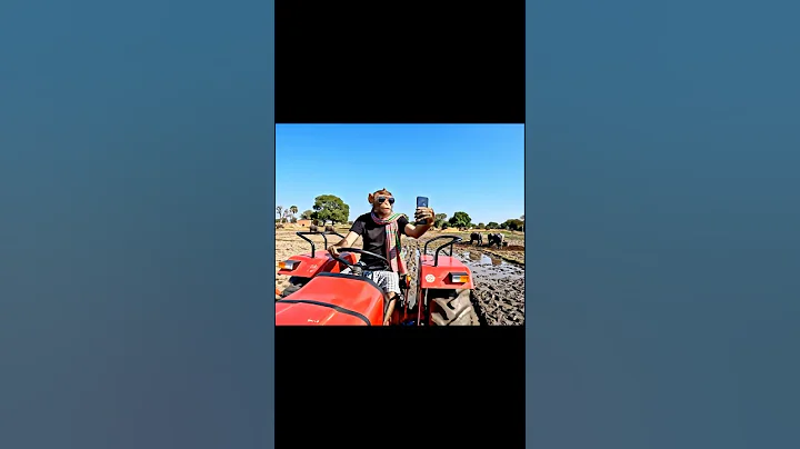 🔥 Monkey driving tractor 🚜 google veo 3 || #shorts #vlog #trend #veo3