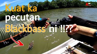 Baru merasa kekuatan sebenar dia !! | Guna reel BC Daiwa Pr100 termurah !!