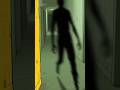 The VHS Backrooms #horrorstories #urbanlegend #scarystories