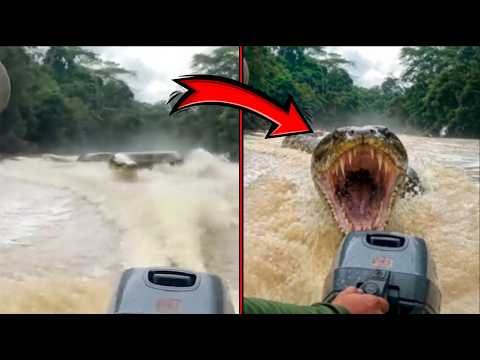 They Got Too Close to Prehistoric Creatures… And Paid the Price thumbnail