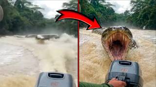 They Got Too Close to Prehistoric Creatures… And Paid the Price