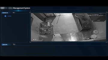Video Sense AI demo: Mouse Detection