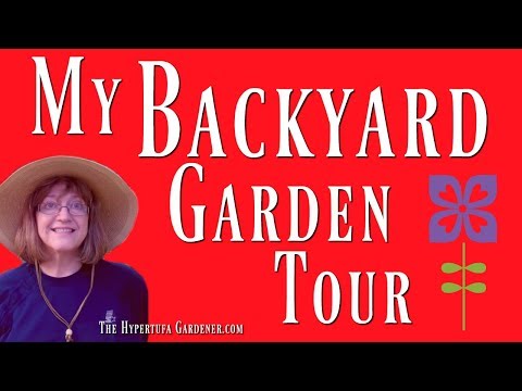 My Backyard Garden Tour - It&#039;s Little, Don&#039;t Blink!