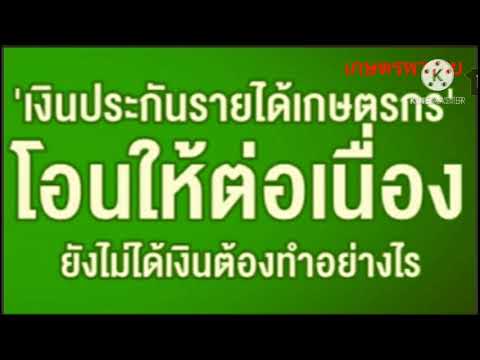 ใครยังไม่ได้เงินฟังด่วน " เงินประกันรายได้เกษตรกร"โอนให้ต่อเนื่อง ยังไม่ได้ต้องทำอย่างไร?