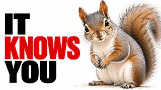 If a Squirrel Keeps Watching You, This Is What It Already Knows