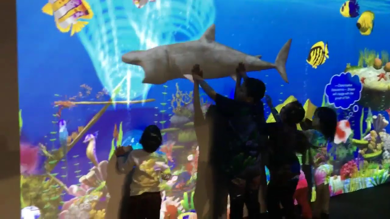 Play pie Buena Park 2019 YouTube