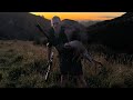 Hunting wild hogs and red stags in the north island of new zealand