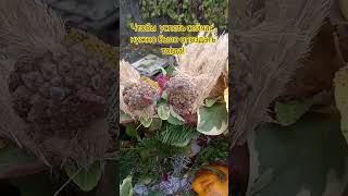 Чтобы успеть сейчас, нужно было опоздать тогда!#Татьяна Ковальчук#shortvideo #nature