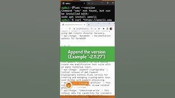 How to install specific version of the AWS CLI?