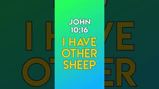 I Have Other Sheep - John 10:16
