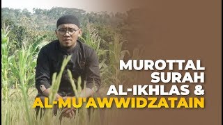 Murottal Surah Al-Ikhlas & Al-Mu'awwidzatain - Mashudi Malik Bin Maliki