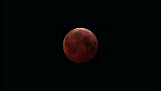 Total Lunar Eclipse 2025  Timelapse - Full Resolution Profile