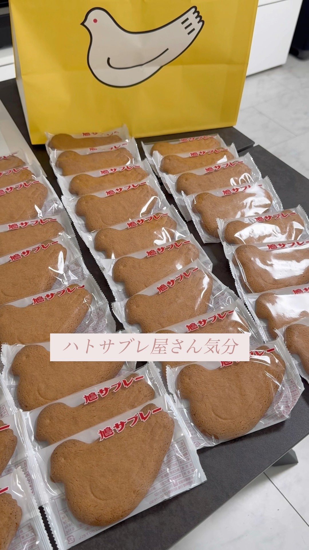 鳩サブレー 44枚缶入買ってみた！🐦鳩サブレ屋さん気分🍪豊島屋