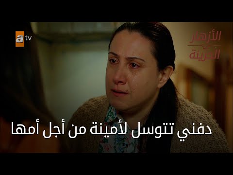 دفني تتوسل لأمينة من أجل أمها الحلقة 116 الأزهار الحزينة 