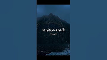 اجر لي ولكـم 🌀🌷#كلير_تحبكم #قران_كريم#اكسبلور#لايك#راحة_نفسية#حالات_واتس#سورة_يس#محمد_صديق_المنشاوي