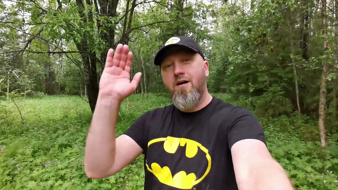 Autio kyläkoulu metsän piirittämänä