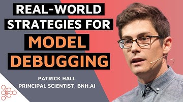 Real World Strategies for Model Debugging with Patrick Hall