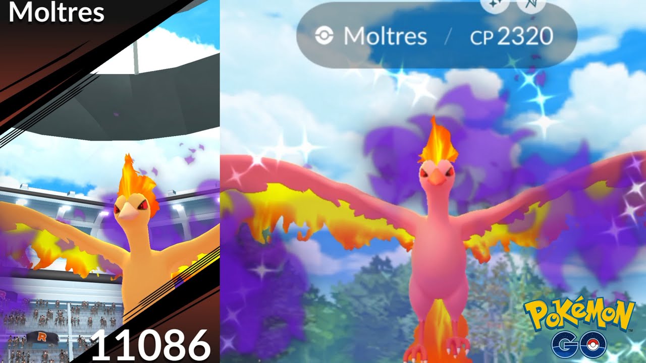 😮 SHADOW SHINY Moltres raid started in pokemon go. 