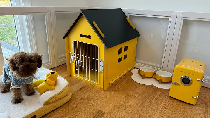 New House setups for my puppy 🐶