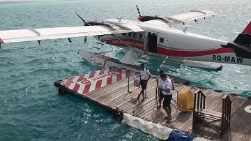 Seaplane on Floating Dock