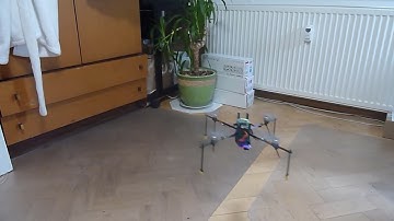 Pifly: First free flight.