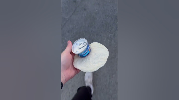 Feeding a Stray Cat