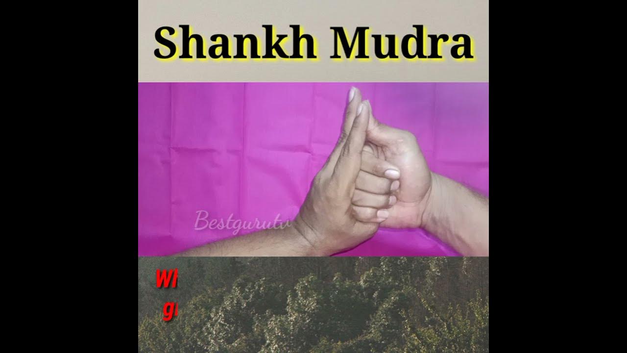 Shankh Mudra |Seashell Mudra| Secret Mudra for singers | BESTGURUTV ...