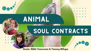 Animal Soul Contracts Masterclass | Nikki Vasconez & Tammy Billups