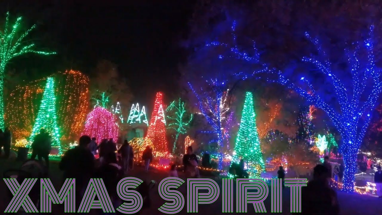 AMAZING CHRISTMAS LIGHT SHOW DECORATIONS (BAKERSFIELD CALIFORNIA) YouTube