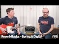 That Pedal Show - Reverb Basics, Amp Spring, Amp Digital & Pedals