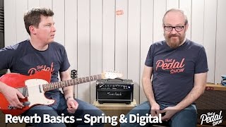 That Pedal Show - Reverb Basics, Amp Spring, Amp Digital &amp; Pedals