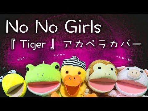 No No Girls『 Tiger 』アカペラカバー by パペット合唱団PAPPELLA #nonogirls #ノノガ #ノノガファイナル #ちゃんみな #BSMG