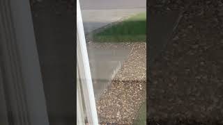 Denver, CO Hailstorm 6-17-23