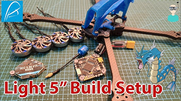 BetaFPV 2004 Motors // A02 VTX // TCMMRC Gyarados Frame