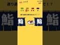 【クイズ】 動体視力クイズ!! #クイズ #ミニゲーム #暇つぶし #shorts