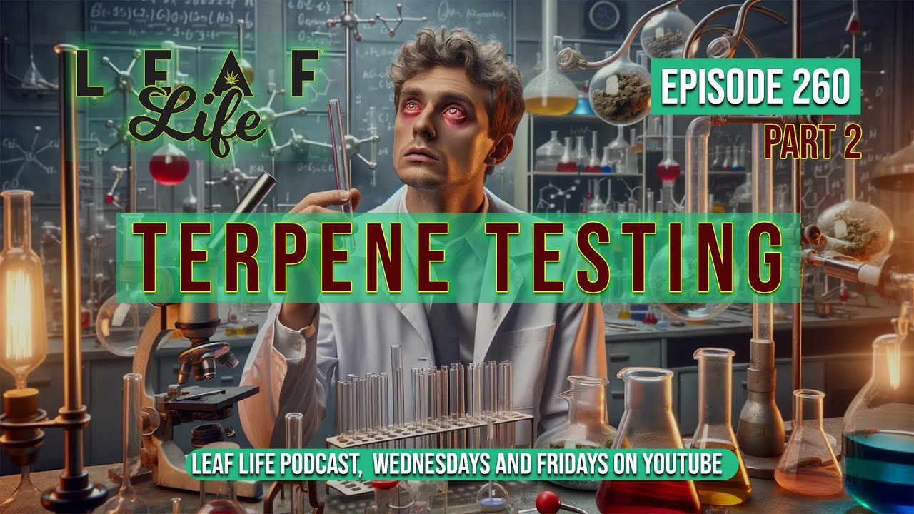 Do Terpenes Show Up On Drug Test TERPENE TESTING - Leaf Life 260 - Part 2 - YouTube