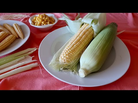 Video: Proč Je Kukuřice škodlivá?