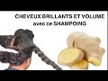 Shampoing au gingembre  traitement cheveux abms