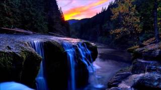 Dj Fusion - Feel Alive