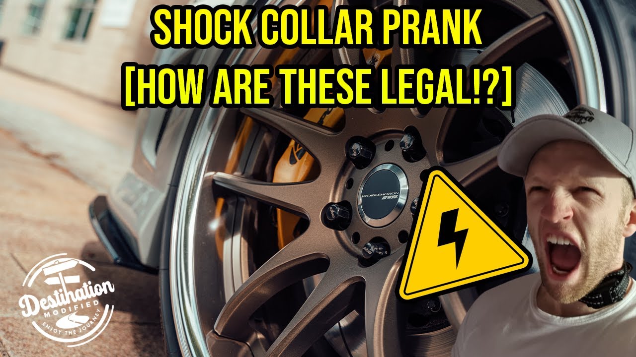 Electric Shock Dog Collar Prank How are these legal!? YouTube