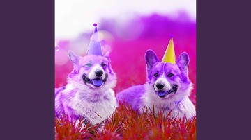 Tremendous Backdrops for Doggy Afternoon Rest