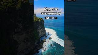 Мудрые жизненные цитаты #психология #мудрость #саморазвитие #советы #успех #цель #жизнь #цитаты #ум