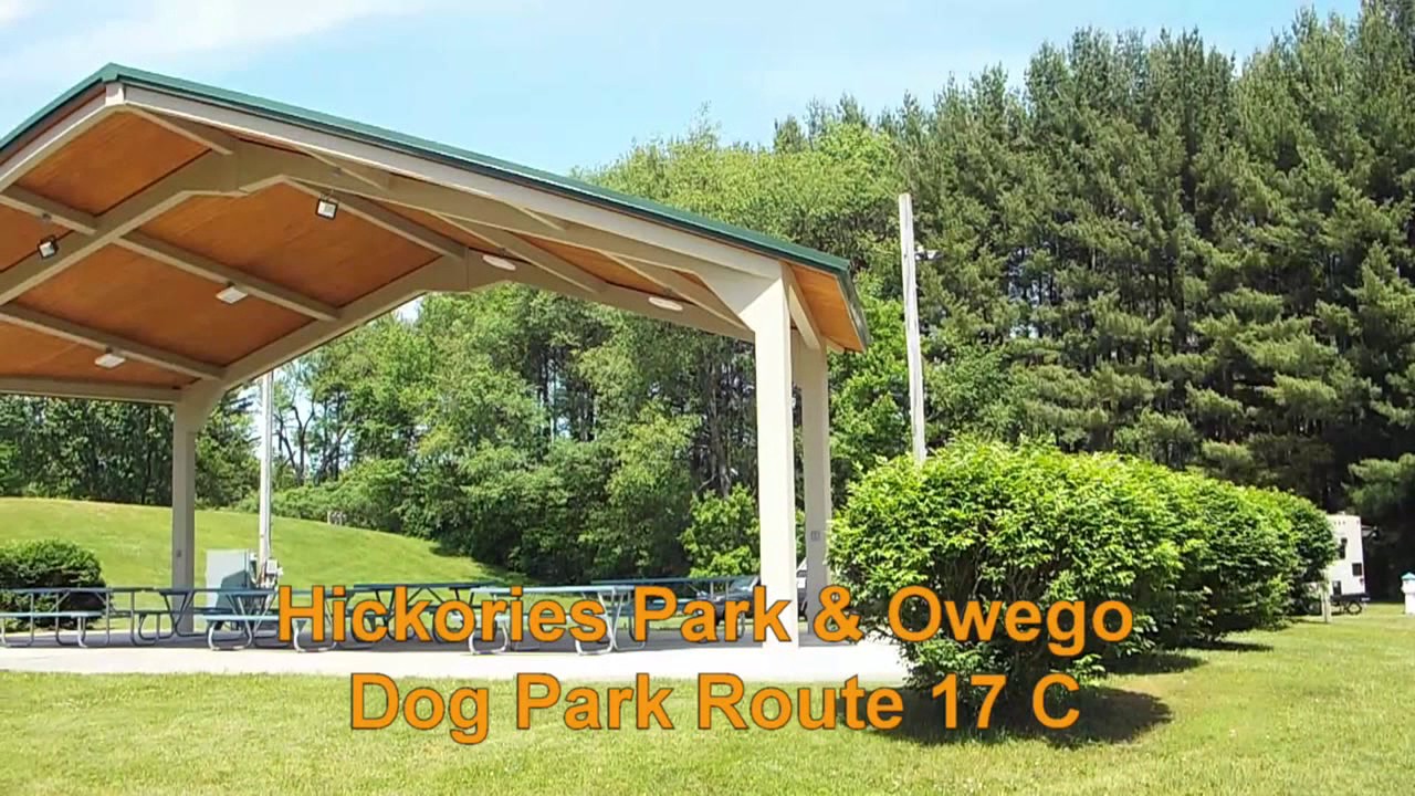 Pick Owego Hickories Park & Owego Dog Park YouTube