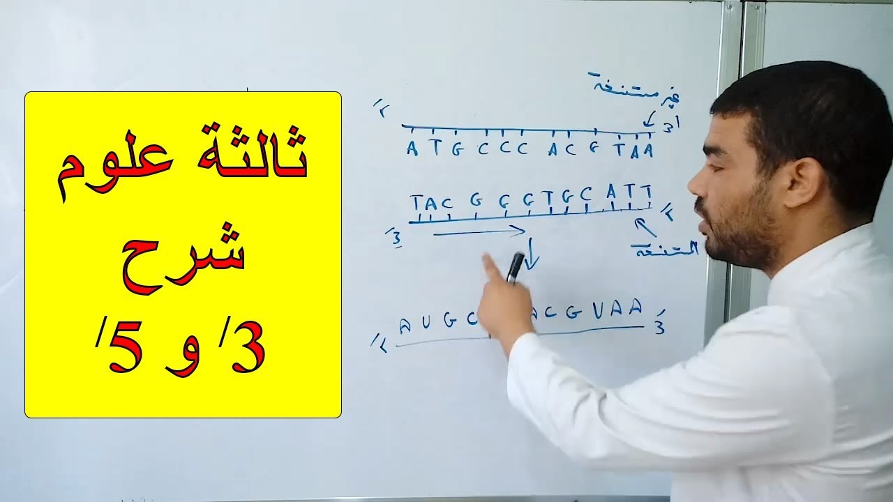 شرح 3' و 5' في جزيئة ARNm وسلاسل ADN