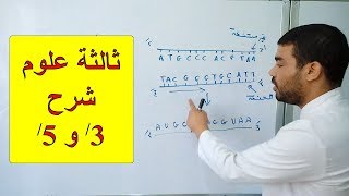 شرح 3' و 5' في جزيئة ARNm وسلاسل ADN
