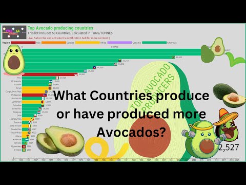 Which Country Produces The Most Avocados