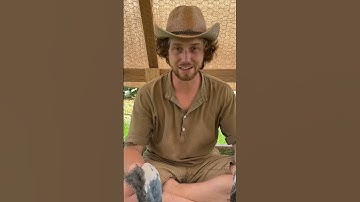 How to tan hides with tree bark part 2 #bushcraft #survival #primitive #hidetanning