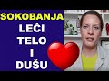 Sokobanja  lei i telo i duu  dr bojana mandi