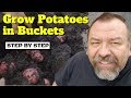 How-To Grow Potatoes in Buckets - From Chitting to Harvest
